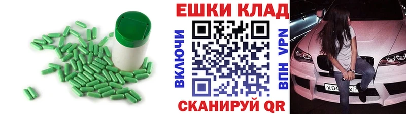 Ecstasy TESLA  Шенкурск 