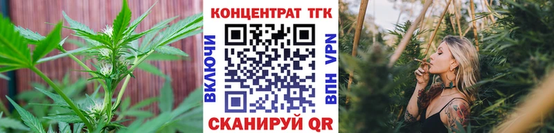 Дистиллят ТГК концентрат  mega рабочий сайт  Шенкурск  где купить наркоту 