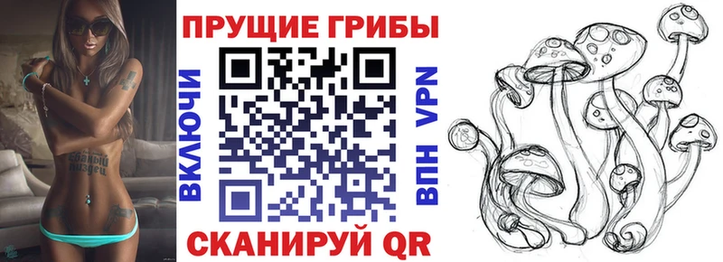 Галлюциногенные грибы Magic Shrooms  где купить наркотик  OMG маркетплейс  Шенкурск 